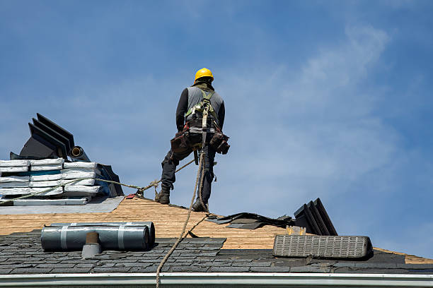 Professional Emergency Roof Repair technician working in Lake in the Hills, IL